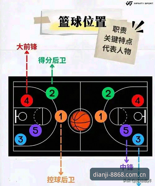 8868体育平台新版上线，从篮球数据到移动端体验的完整使用指南